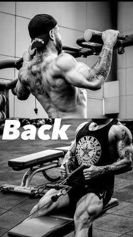 Back Workout