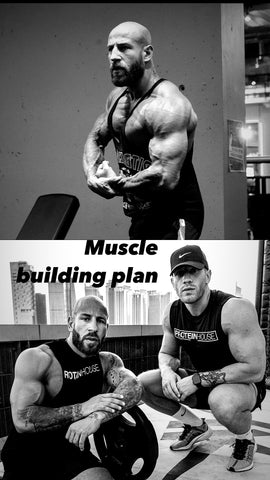 Muscle building plan
